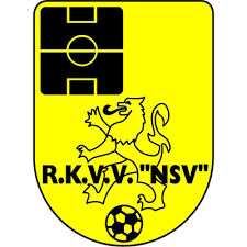 logo nsv